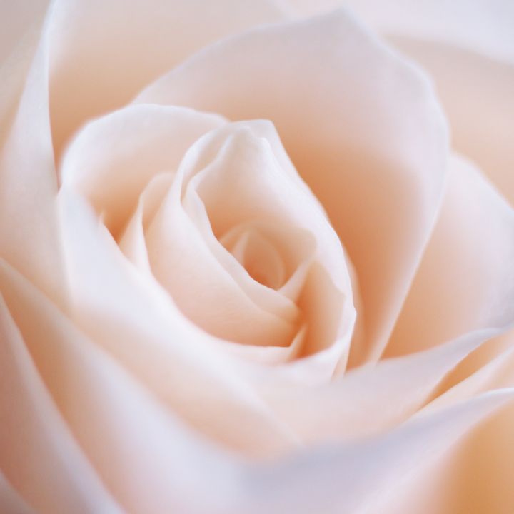 Mousse Nettoyante Visage Doux